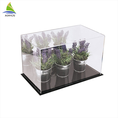 Exhibición en conserva de acrílico modificada para requisitos particulares diseño de acrílico claro de la planta de la vitrina con las bandejas