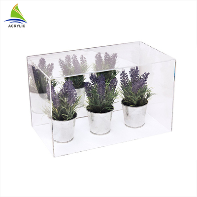 Exhibición en conserva de acrílico modificada para requisitos particulares diseño de acrílico claro de la planta de la vitrina con las bandejas