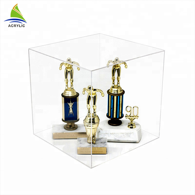 Eco - caja clara transparente del acrílico 3D de la vitrina de acrílico amistosa del cubo sola