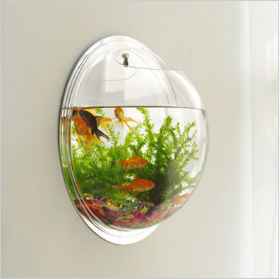 Acuario de acrílico redondo claro montado en la pared modificado para requisitos particulares exhibición de acrílico moderna de la tienda