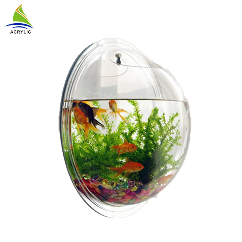 Acuario de acrílico redondo claro montado en la pared modificado para requisitos particulares exhibición de acrílico moderna de la tienda